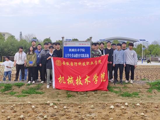 活动照片